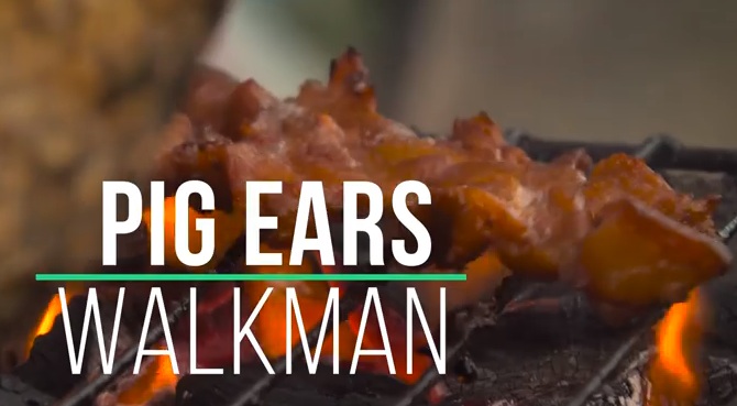 Pig Ears Walkman