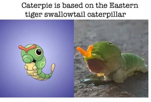 Pokemon Caterpie