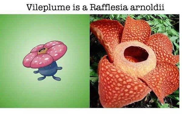 Pokemon Vileplume