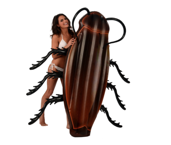 cockroach floater1