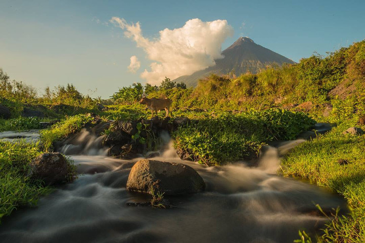 Stunning Images of Mayon Volcano by Dutch Travel Photographer