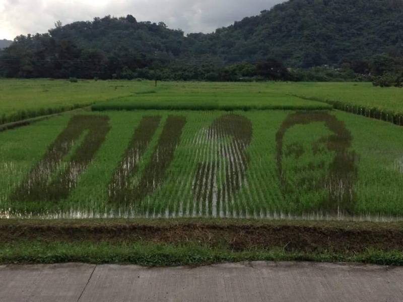 duterte-rice-field-art