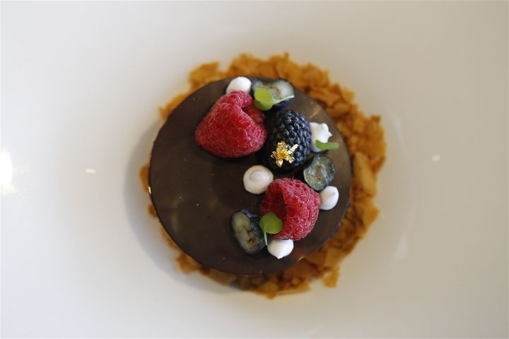 Gold - Dream Team Challenge (Island Berry)-opt