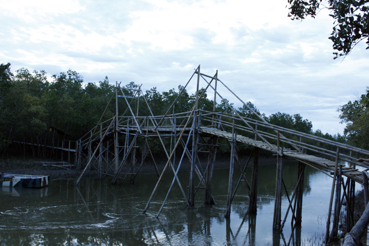 Bakhawan bamboo bridge