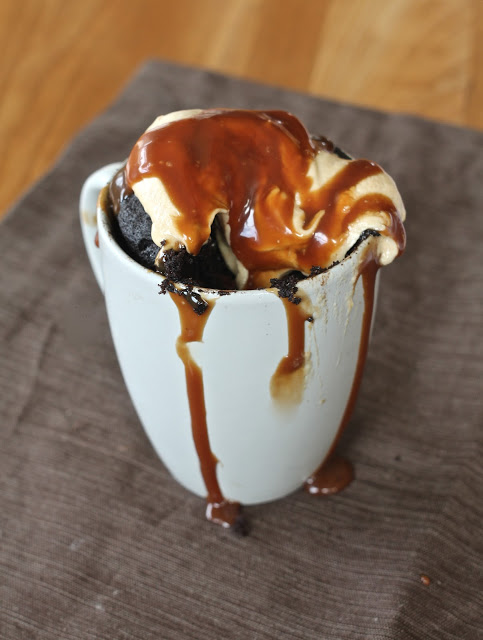 Easy and Yummy Mug Recipes For Lazy Cooks 10 mug chocolate peanut butter mug cake