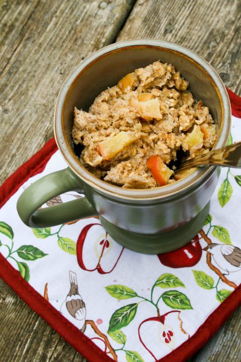 Easy and Yummy Mug Recipes For Lazy Cooks 3 mug oatmeal
