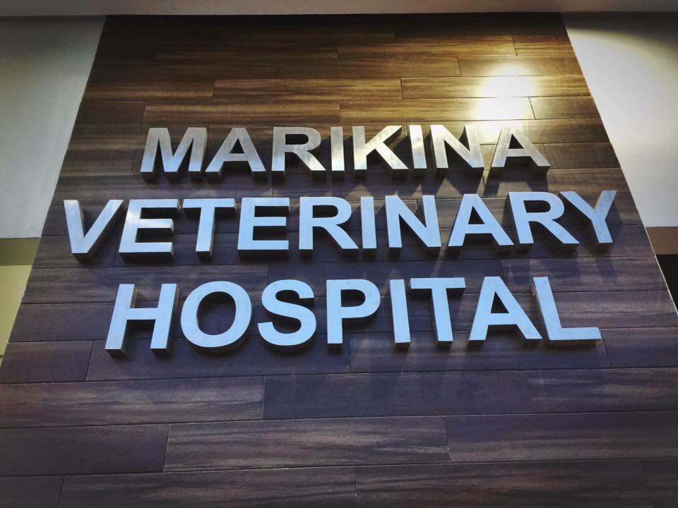 marikina veterinary hospital