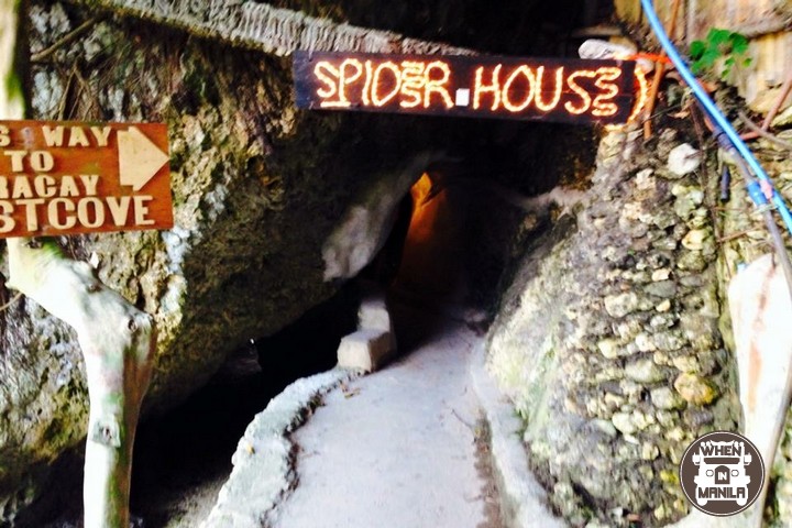 Spider House8
