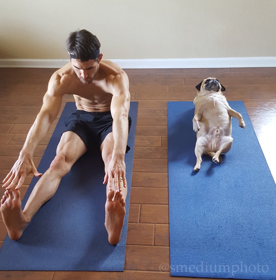 pug-yoga