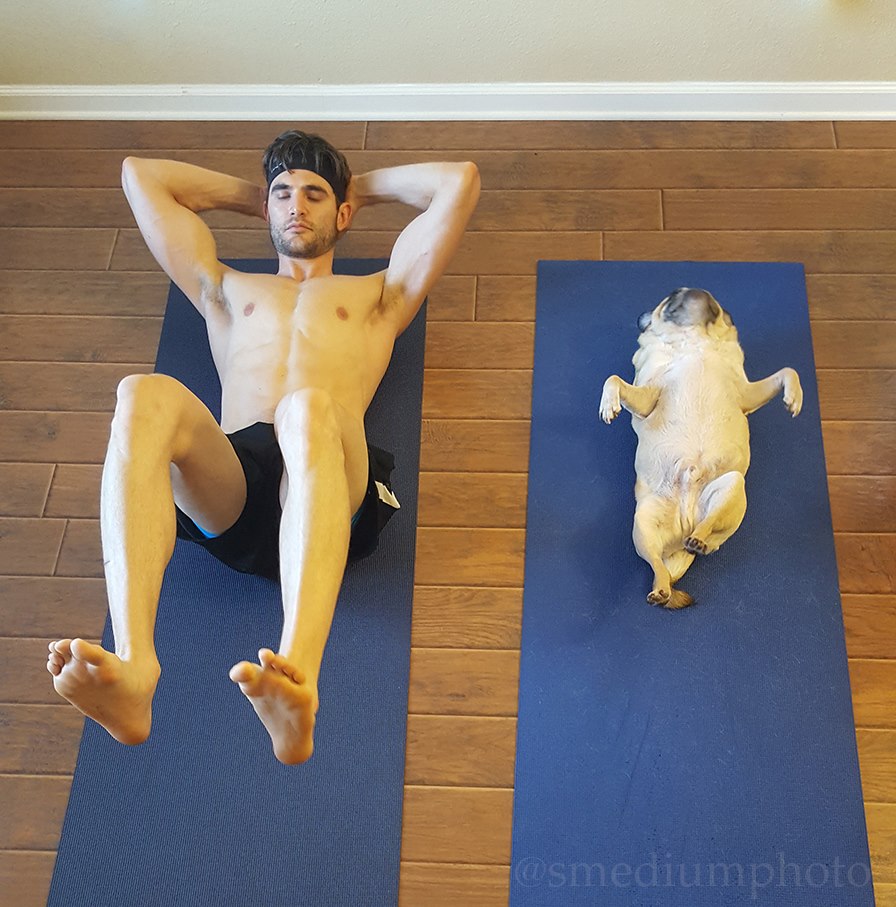 pug-yoga2