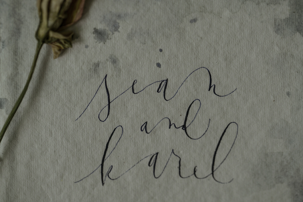 seankarelprenup5