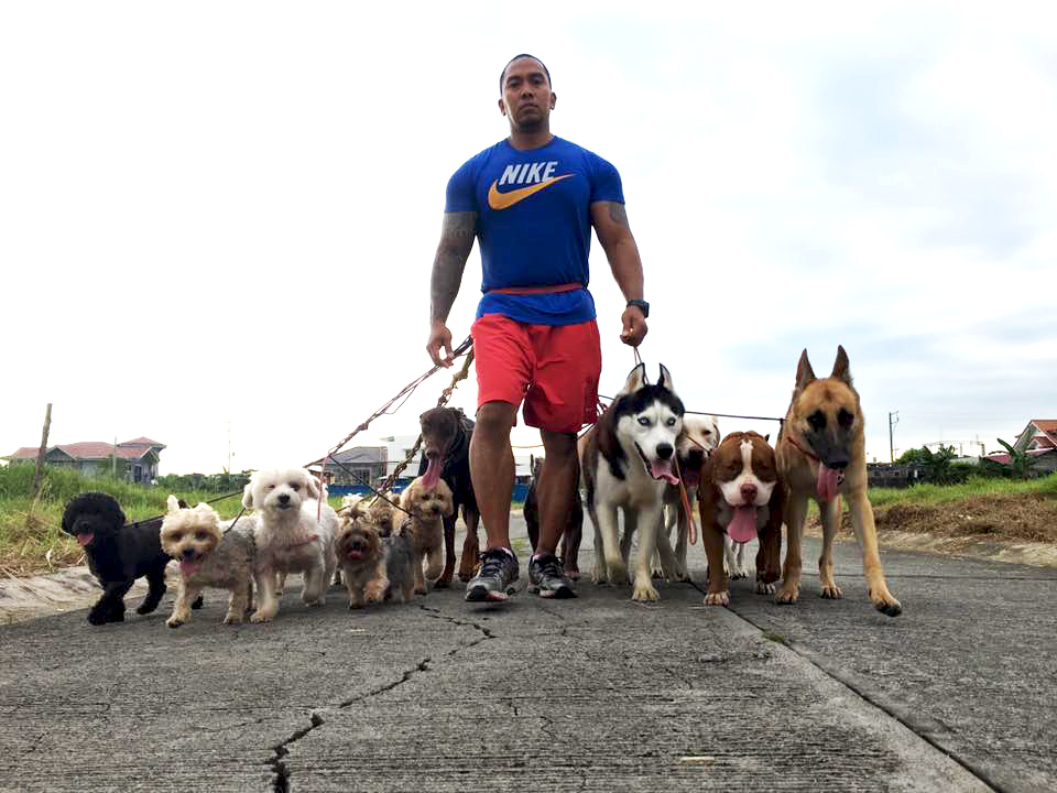 The Pack Leader
