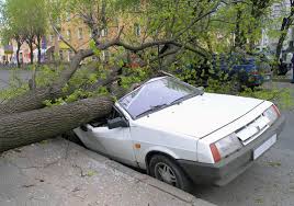 5 Essential Reasons Why You Need Car Insurance 4 car-accident-insurance