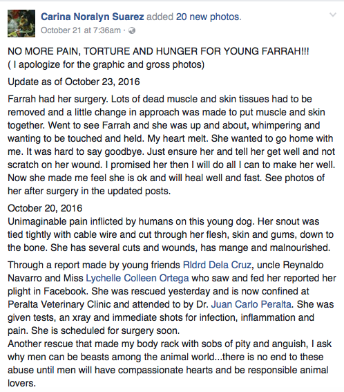 help-farrah
