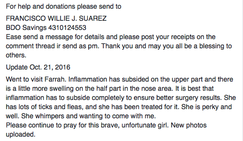 help-farrah2