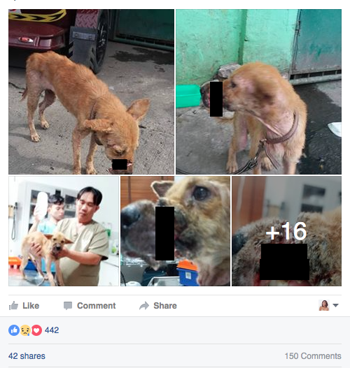 help farrah3