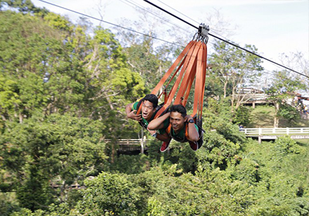 10 Venue Suggestions For Team Buildings or Strategic Planning Sessions 8 zipline-view-park