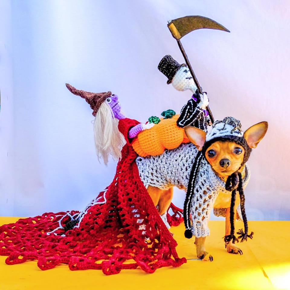 2016s Cutest Pets in Halloween Costumes