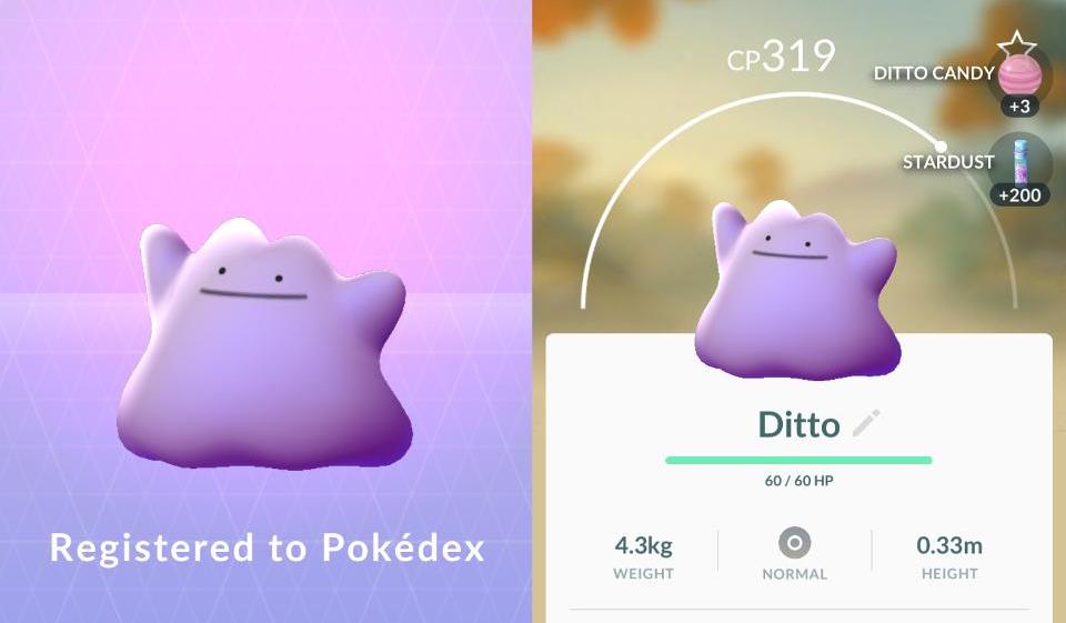 pokemon-go-ditto-3