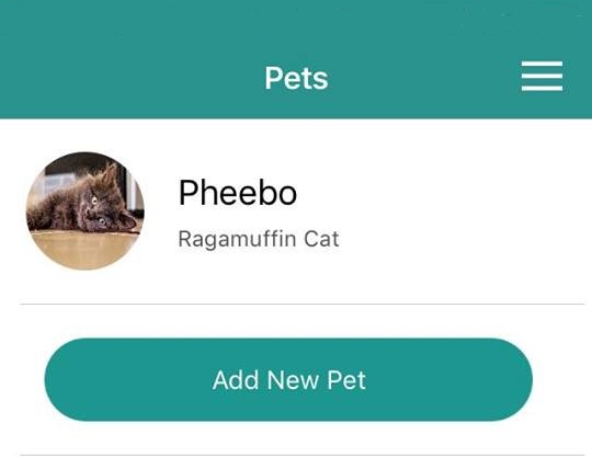 The Petter 3
