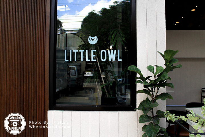 5 Reasons Why We Love Little Owl 1 Little Owl