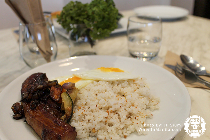 5 Reasons Why We Love Little Owl 6 Little Owl