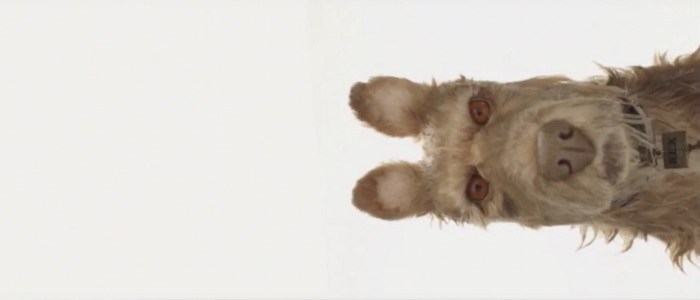 watch-wes-anderson-announces-new-film-its-about-dogs