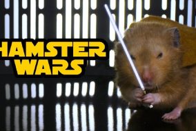 hamster-wars star wars