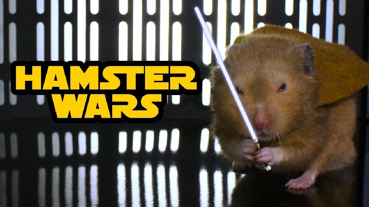 hamster-wars star wars