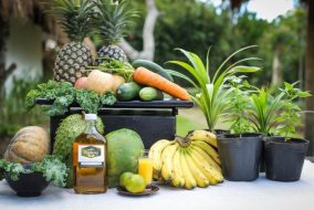nurture wellness village