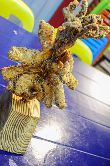 New Food Park Alert: The Vibe Gastro Hub in Quezon City 6 Super Giant Butterfly Squid