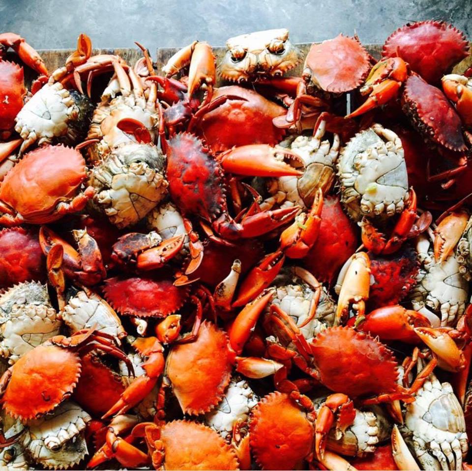 5 Unlimited Food Promos You Have To Try 4 5 Unlimited Food Promos You Have To Try