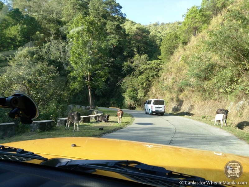 sagada driving tips (3)