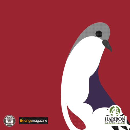 A Bird Close to Our Hearts is Near Extinction 1 Animated gif