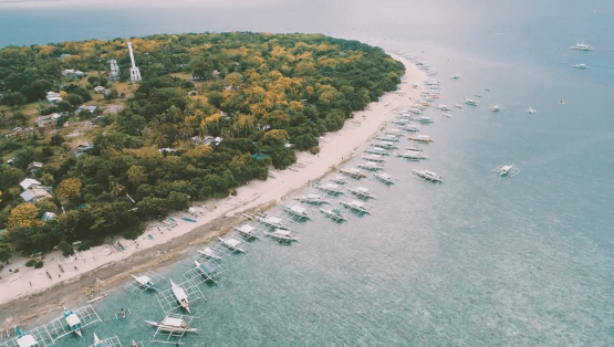 bohol and cebu