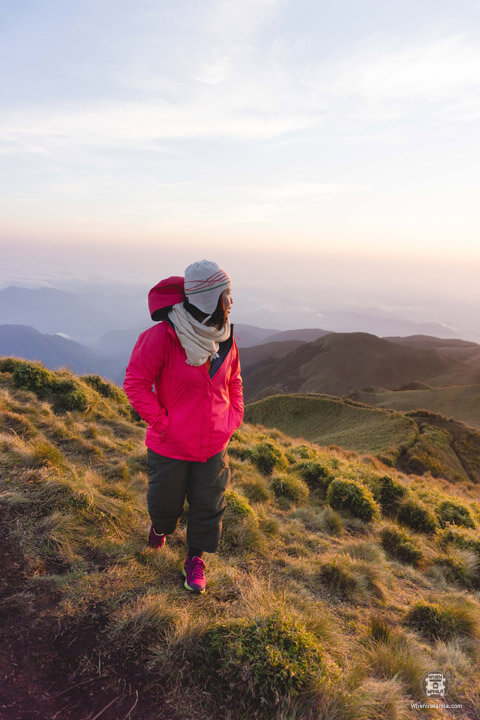 Peak Pursuits: Overcoming My Fear of Mount Pulag 6 Peak Pursuits-Pulag10