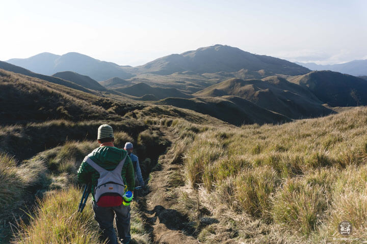 Peak Pursuits: Overcoming My Fear of Mount Pulag 7 Peak Pursuits-Pulag11
