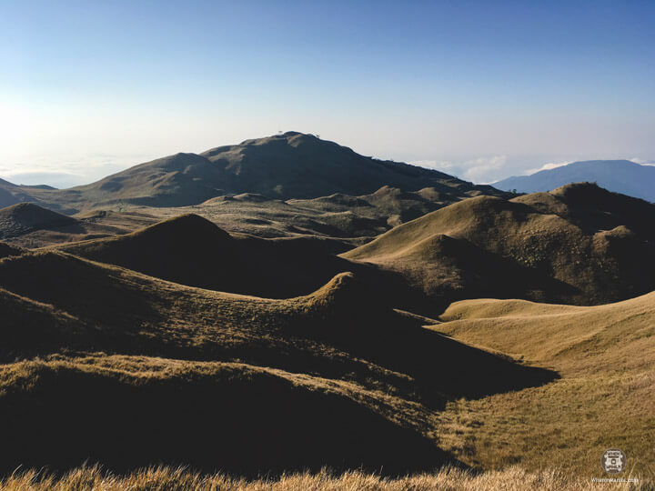 Peak Pursuits- Pulag13