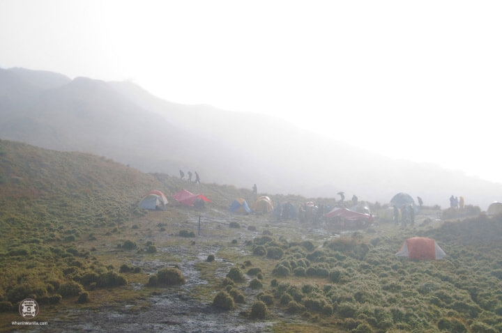 Peak Pursuits-Pulag15
