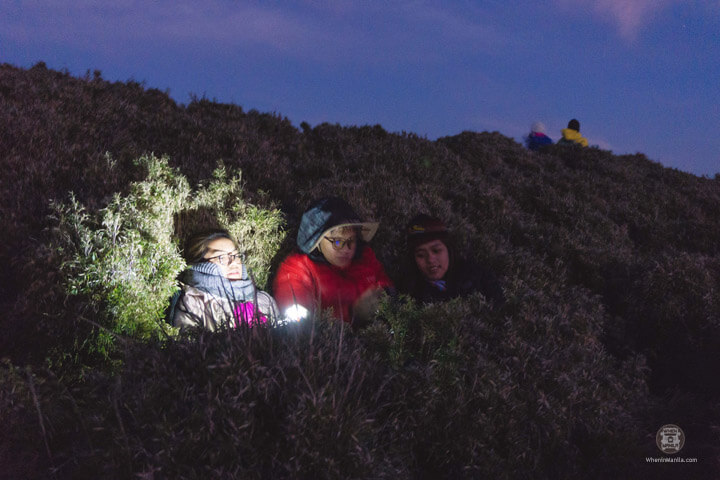 Peak Pursuits: Overcoming My Fear of Mount Pulag 2 Peak Pursuits-Pulag6