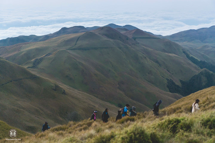 Peak Pursuits: Overcoming My Fear of Mount Pulag 3 Peak Pursuits-Pulag7