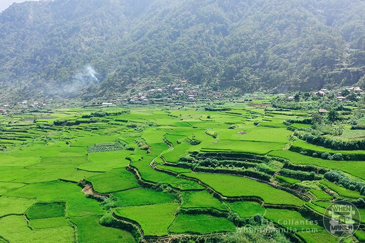 Sagada's breathtaking views - rice terraces