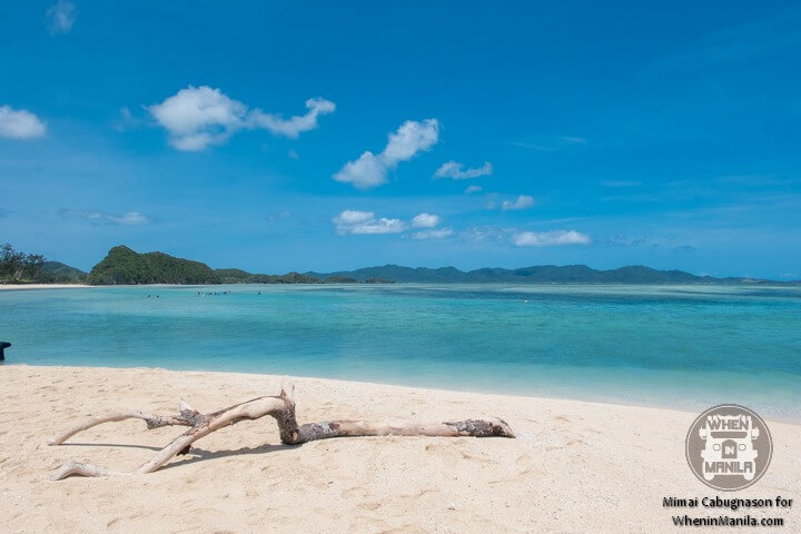 Partakan Festival 2017 4