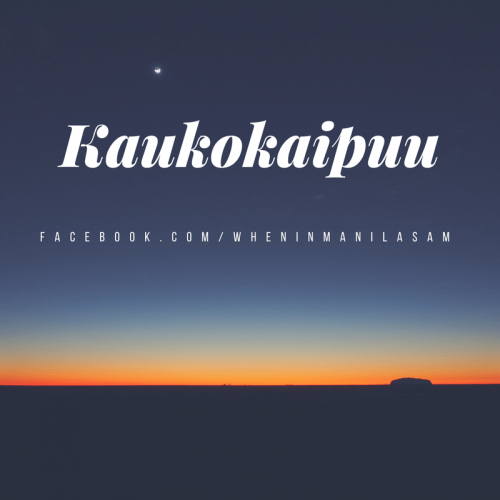 Kaukokaipuu