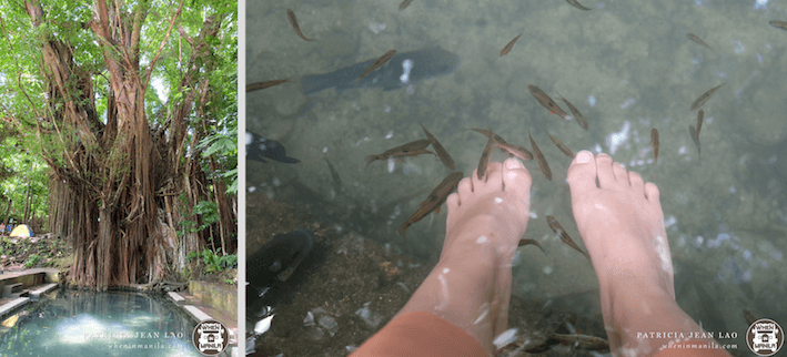 TRAVEL GUIDE: Explore Dumaguete, Apo Island & Siquijor in 4 Days!