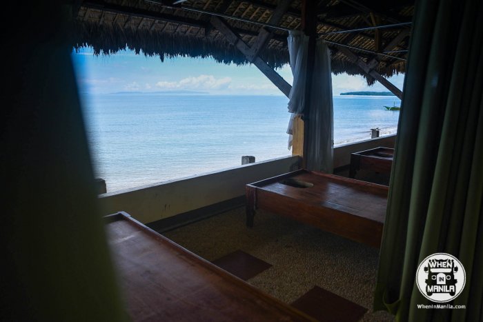 Discover These Alluring Stays In Donsol: Vitton & Woodland Beach Resorts 12 when-in-manila-whaleshark-philippines-donsol-vitton-woodland-beach-reosorts-sorsogon-8540