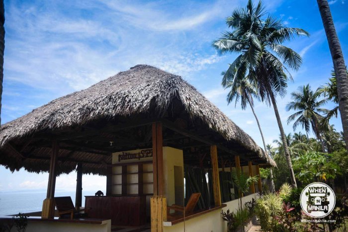 Discover These Alluring Stays In Donsol: Vitton & Woodland Beach Resorts 13 when-in-manila-whaleshark-philippines-donsol-vitton-woodland-beach-reosorts-sorsogon-8544