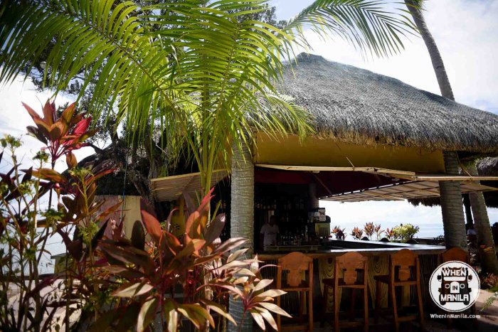 Discover These Alluring Stays In Donsol: Vitton & Woodland Beach Resorts 6 when-in-manila-whaleshark-philippines-donsol-vitton-woodland-beach-reosorts-sorsogon-8660