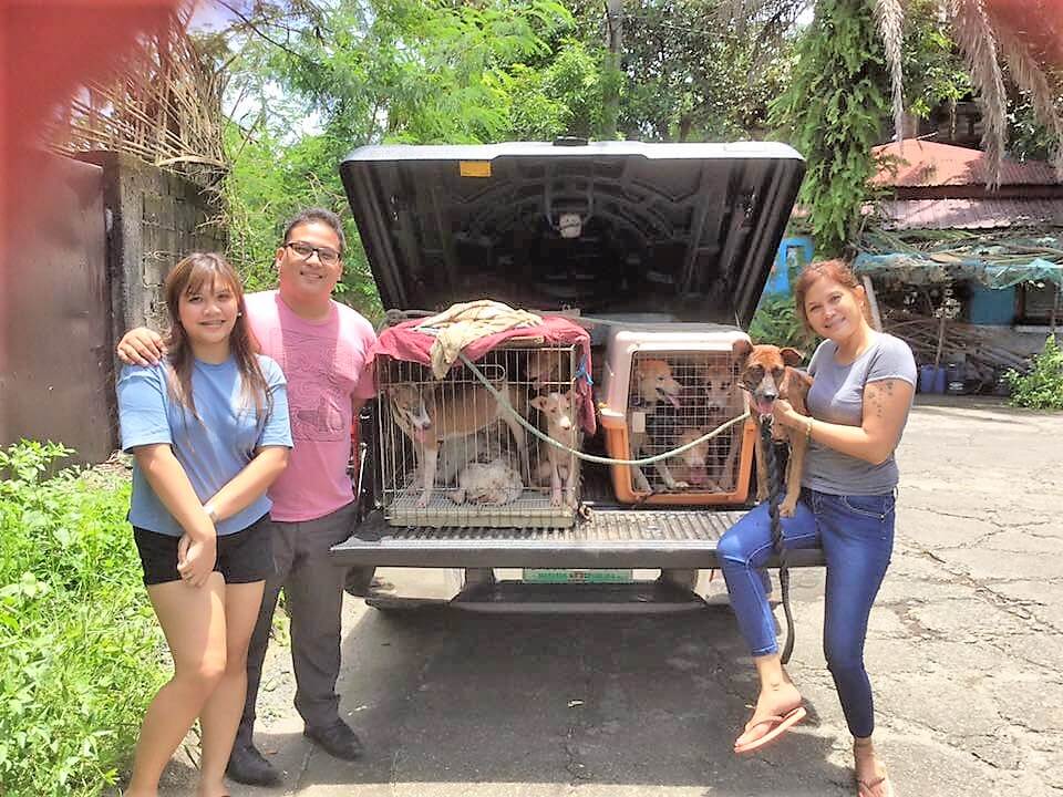 Bamba Conception Meycauayan Dog Pound Rescue 3