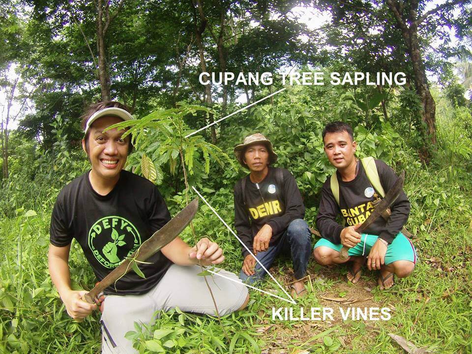 While Manila's Water Supply is Under Threat, Forest Rangers Defending It with Their Lives Lack Supplies 4 Bantay Gubat Ipo watershed by Fredd Ochavo